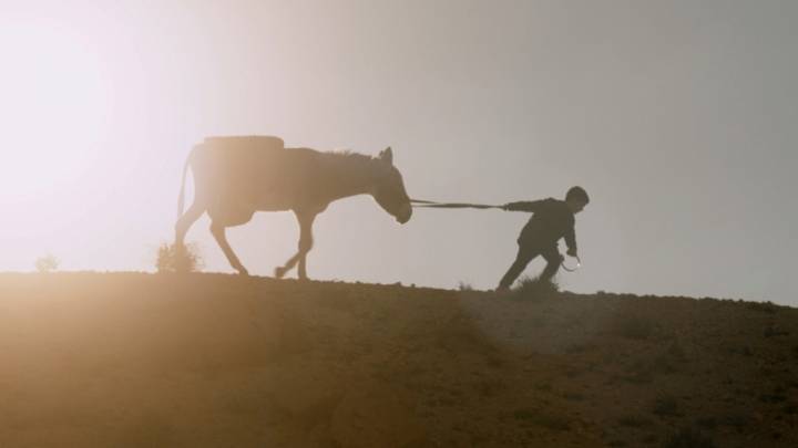 Four Arabic-language films have been nominated for one of this year’s Academy Awards