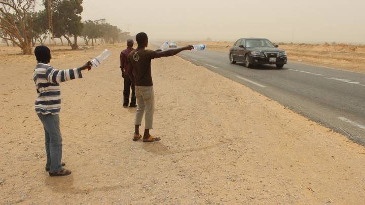 Begging for water at the Shousha campsite