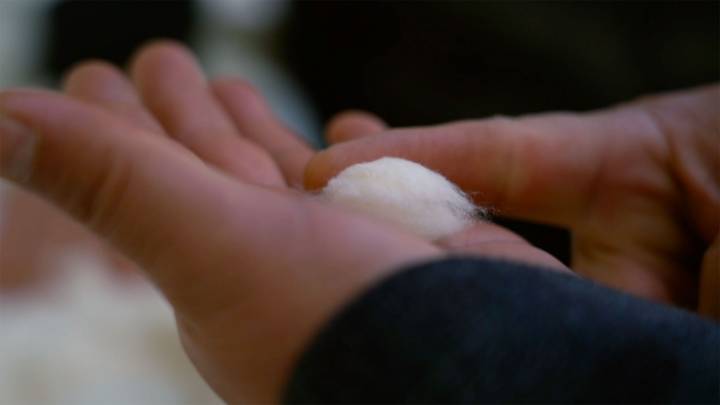 Eyüp Enwer checks a cotton sample