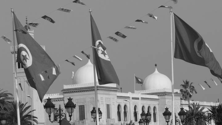 العلم التونسي