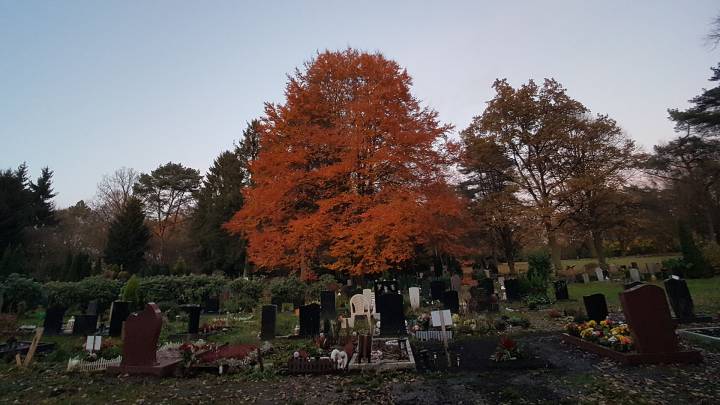 Bestattungen und Rückführungen zwischen Deutschland und der Türkei Bestattungen und Rückführungen zwischen Deutschland und der Türkei