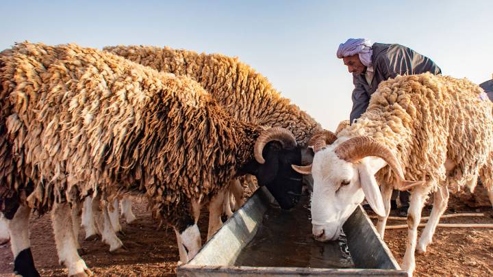 Klimawandel in der Sahara