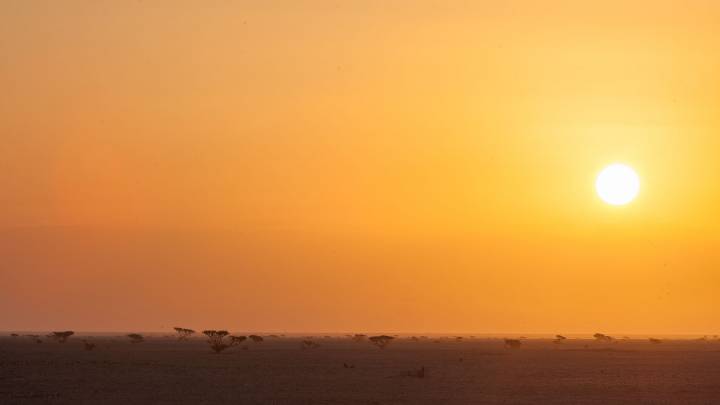 Energiestrategien der Golfstaaten
