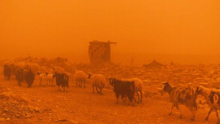 Landwirtschaft und Klimawandel im Irak