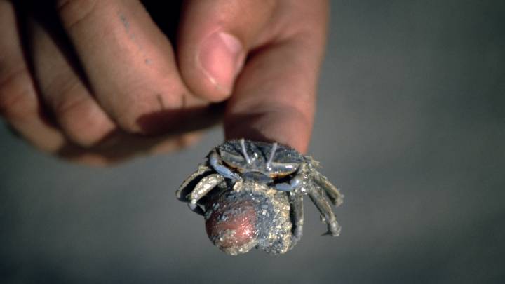 Interview zum Naturraum Persischer Golf Interview zum Naturraum Persischer Golf