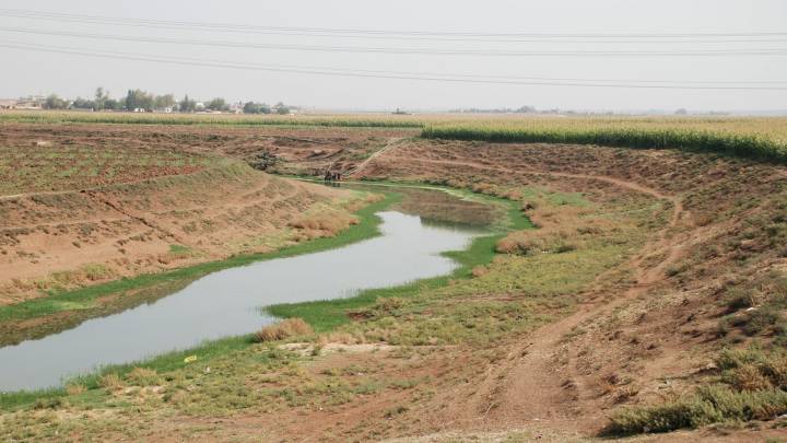 Turkey, Syria, the Kurds and Russia