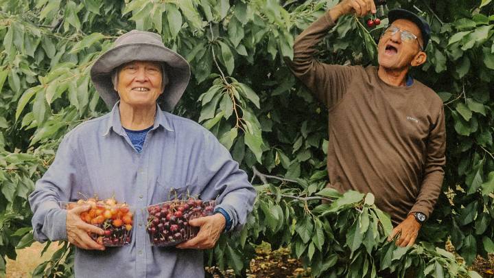 Friedensinitiativen im Nahostkonflikt