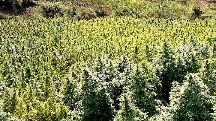 marijuana-morocco-rif-stian-overdahl-cover