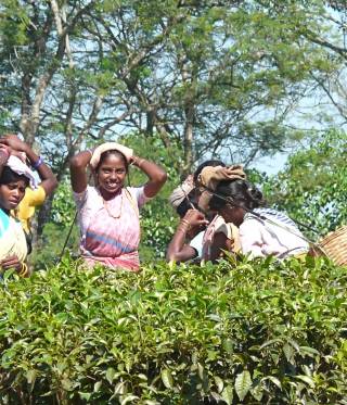 Kurz erklärt: Muslime im Nordosten von Indien