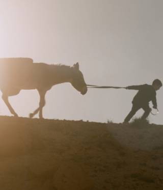 Four Arabic-language films have been nominated for one of this year’s Academy Awards