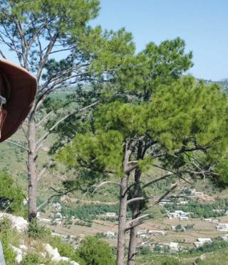 Profil: Martin Kobler