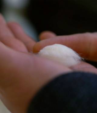 Eyüp Enwer checks a cotton sample