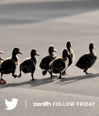 Follow Friday