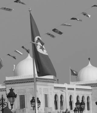 Tunisian flags