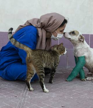 Tierheim Iran Tierheim Iran