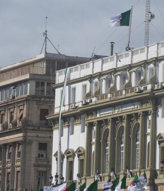 مجلس الشيوخ الجزائري