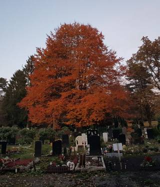 Bestattungen und Rückführungen zwischen Deutschland und der Türkei Bestattungen und Rückführungen zwischen Deutschland und der Türkei