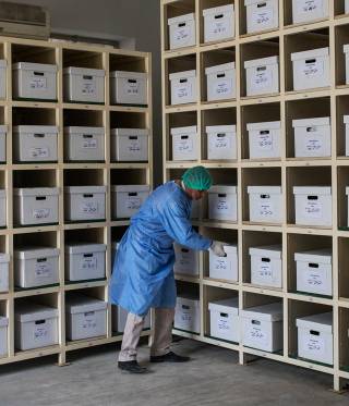 Vermisste im Irak Vermisste im Irak