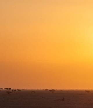 Energiestrategien der Golfstaaten