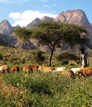 Ägypten, Sudan und das Hala'ib-Dreieck 