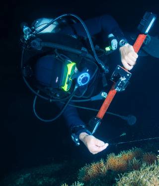 Artenschutz in der Türkei