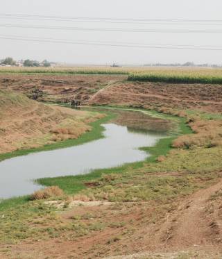 Türkei, Syrien, die Kurden und Russland Türkei, Syrien, die Kurden und Russland
