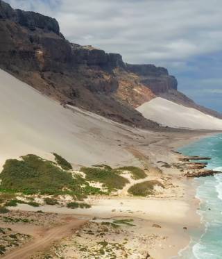 Local Media and the War in Yemen