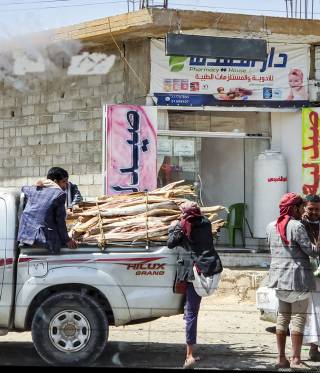 Letters from the Nowhere